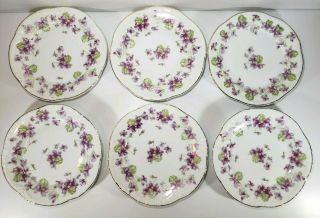 6 Vintage York Z.  S.  & Co.  Bavaria Purple Floral Dessert Plates 6 "