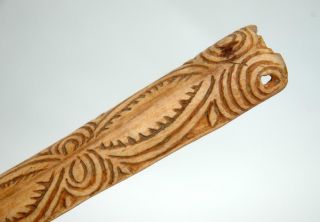 Old Vintage Sepik Guinea Cassowary Bone Dagger Lime Spatula Cannibal Knife 5 4
