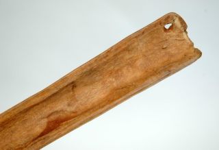 Old Vintage Sepik Guinea Cassowary Bone Dagger Lime Spatula Cannibal Knife 5 5