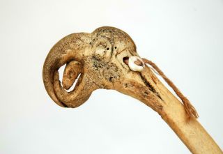 Old Vintage Sepik Guinea Cassowary Bone Lime Stick Spatula Dagger Bird Head