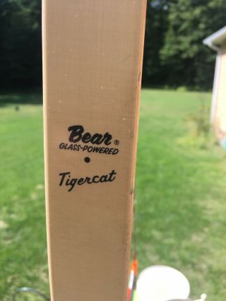 Vintage 1953 Bear Tigercat Glass Powered Bow 58 40 Pound - Canada 1953 Model