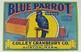 Vtg Blue Parrot Cape Cod Cranberries Colley Cranberry Co Boston,  Ma Crate Label