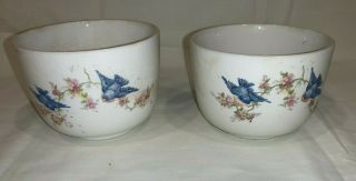 (2) W S George Vintage Bluebird Bowls