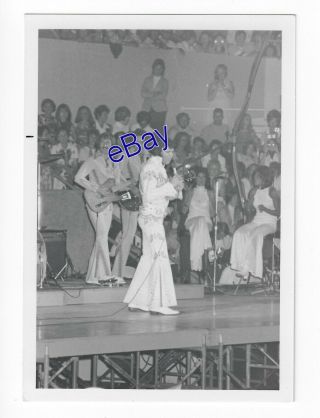 Elvis Presley Kodak Concert Photo 1973 Eagle Suit - Jim Curtin Vintage