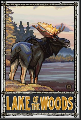 Vintage Canada Lake Of The Woods Moose Poster