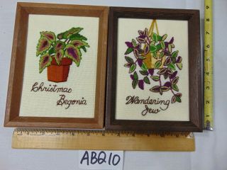 2 Vintage Sunset Designs Framed Needle Point - Flowers - Wandering Jew - Begonia