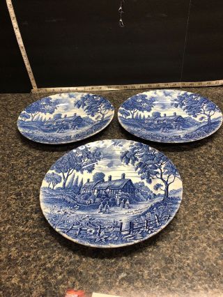 3 Vintage Shakespeares Country Royal Essex Ironstone Plates Hathaway Cottage.