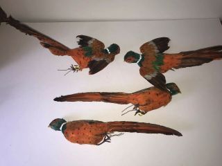 4 Vintage Large Craft Decorative Birds Pheasants Floral Arranging,