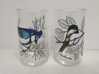 Vintage 2 Chickadee And Bluejay Drinking Glasses