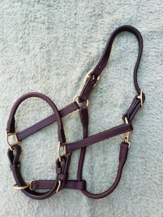 Vintage Billy Royal Rolled Nose Leather Halter Brass Fittings Cob Arab Size