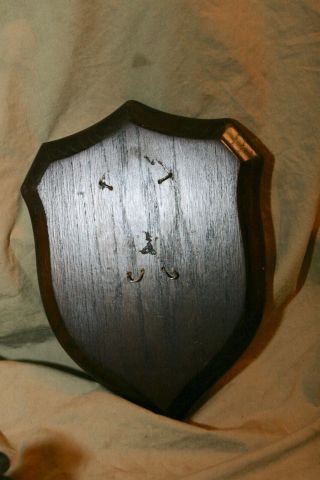 Vintage 8x11 " Walnut Shield Plaque Originally Taxidermy Trophy England