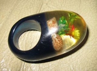 Vintage/mid - Century Clear Floral/seashells Lucite Dome Ring