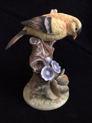 Vintage Gallery Birds By Gorham Gold Finch Porcelain Bird