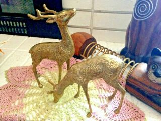 Vintage Set Of 2 Solid Brass Stag & Doe Deer Figurines 9.  5 " & 6 " Tall