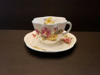 Vintage Shelley " Begonia " Fine Bone China Dainty Shape Tea Cup And Saucer Set