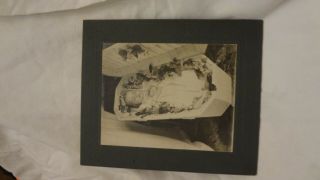 Vtg Antique Victorian Post Mortem Memorial Dead Baby Infant Child Cabinet Card 4