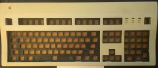 Vintage Apple Extended Keyboard Ii Model M3501 Case,  Plate,  Pcb
