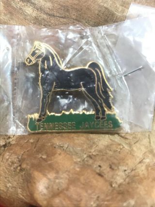 Vintage " Walking Horse " Tennessee Jaycees Pin (in Plastic)