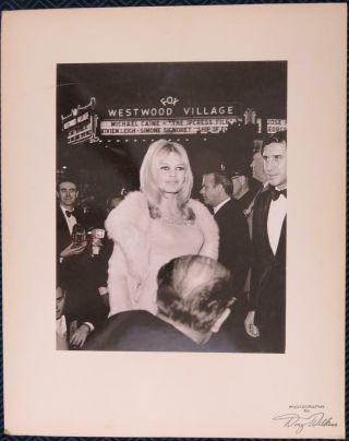 Vintage 1965 Brigitte Bardot By Doug Wilkins Mounted Photograph