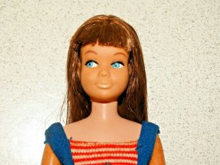 Barbie: Vintage Brunette Bend Leg Skipper Doll