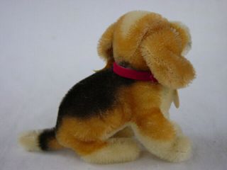 Vintage Steiff Beagle Dog 