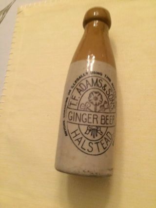 Vintage T F Adams & Sons Stoneware Ginger Beer Bottle Halstead England
