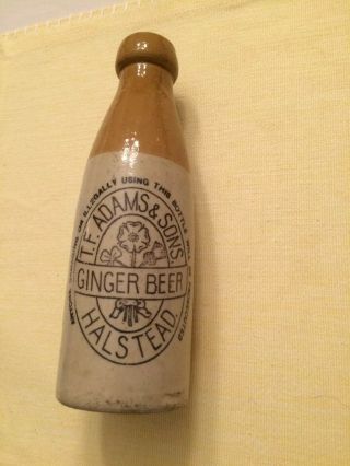 Vintage T F Adams & Sons Stoneware Ginger Beer Bottle Halstead England 3