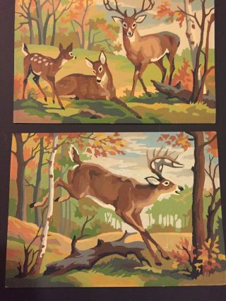 Vintage Paint By Number Pictures Of Deer Family & Buck