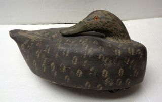 Vintage 18 " Wood Duck " W P M " With Glass Eyes & Turned Head Hunting Decoy