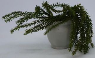 Antique Miniature Rare Porcelain Vase W/fern For Dollhouse Or Roombox