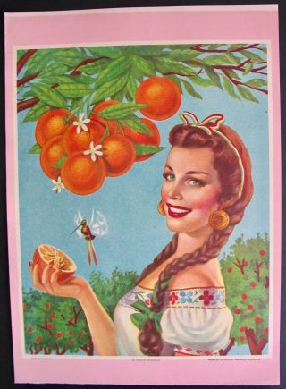 Vintage Art Print Old Mexico Oranges Hummingbird Young Woman Orange Tree Fruit