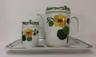 Vintage Thomas Germany Rosenthal Nasturtiums Teapot,  Tray And Cream Set