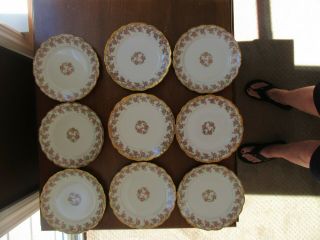 9 Vintage Bawo Dotter Elite Limoges Bridal Wreath Bread Plates 6.  5 " Pink Roses