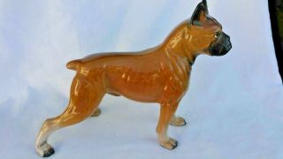 Vintage Large Porcelain Boxer Dog Figurine Statue 7 1/2 Inches Tall
