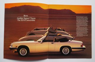 1989 Jaguar XJS V12 Coupe Convertible Brochure Vintage 2
