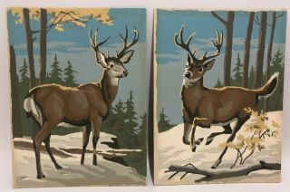 Set Of 2 Vintage 1972 Paint By Number White Tail Deer Forrest 12” X 9”