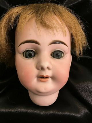 Antique Bisque Doll Head Armand Marseille Am 13 Dep