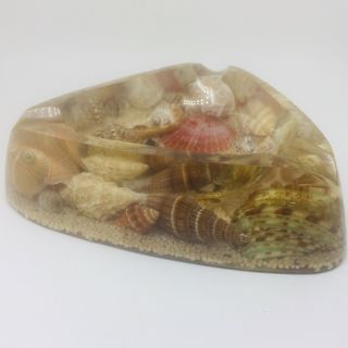 Vintage Clear Lucite Triangle Ashtray Soap Dish W/ Polished Sea Shells And Sand