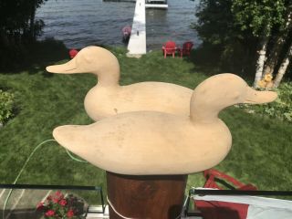 Two Unpainted Teal Duck Decoys In Mason Challenge Form