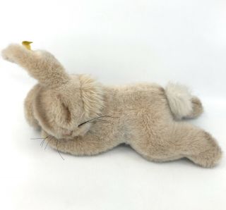 Steiff Floppy Hansi Rabbit Plush Bunny 20cm 8in Id Button Tags 1979 - 82 Vintage