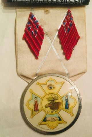 Vintage Iof Independent Order Of Foresters Badge Ribbon Manitou,  Canada