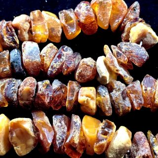 Vintage Honey & Egg Yolk Baltic Chunky Amber Necklace Amber Nugget Beads 6