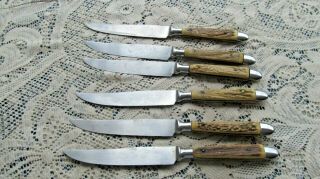 6 Vintage Bone Stag Handle Steak Knives 8 1/4 " L Queen Cutlery?