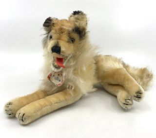 Steiff Collie Dog Lying Fluffy Mohair Plush 25cm 10in Id Chest Tag 1960s Vintage