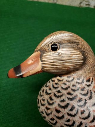 Mallard Hen Duck Decoy Wood Glass Eyed Unknown Artist 4