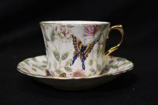 Vintage Old Royal Bone China Teacup & Saucer Butterfly Chintz England