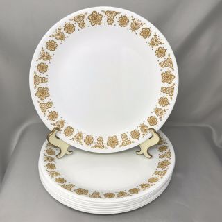 Set Of 8 Corelle Butterfly Gold 10 1/4 " Dinner Plates,  1970 
