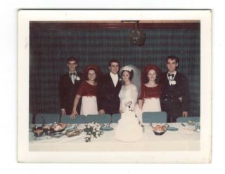 Vintage Photo Pretty Bride,  Cute Bridesmaids,  Wedding,  Groom,  Found Art,  1960 