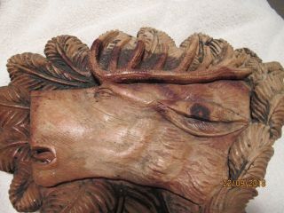 VINTAGE WOODEN HAND CARVED WALL HANGING DEER HEAD FROM BAVARIA GERMANY 2