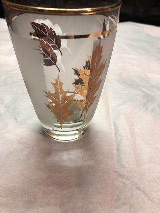 Set of 4 Vintage 1960’s Libby Frosted Gold Leaf Tea/Water Glasses 5